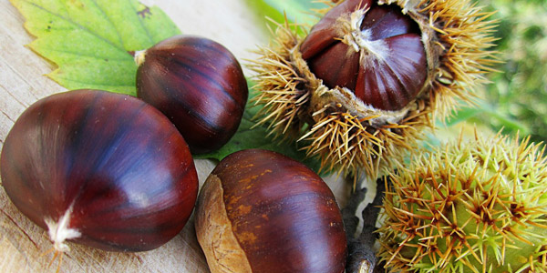 Festa delle Castagne di San Zeno