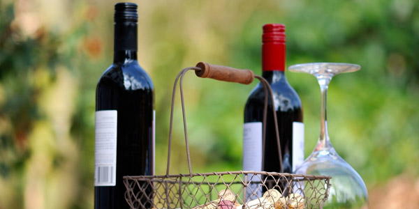 The Wine Fair in Polpenazze del Garda